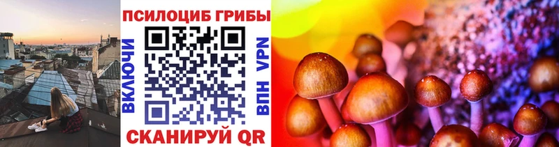 Галлюциногенные грибы Cubensis  Плёс 